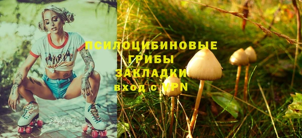 амфетамин Белокуриха