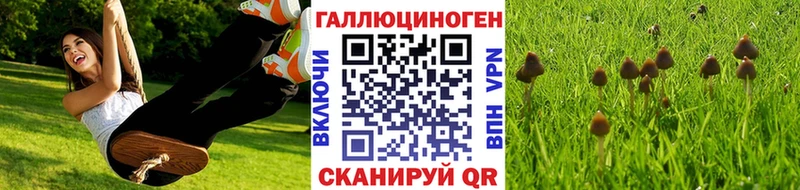 Псилоцибиновые грибы Magic Shrooms  Кущёвская 